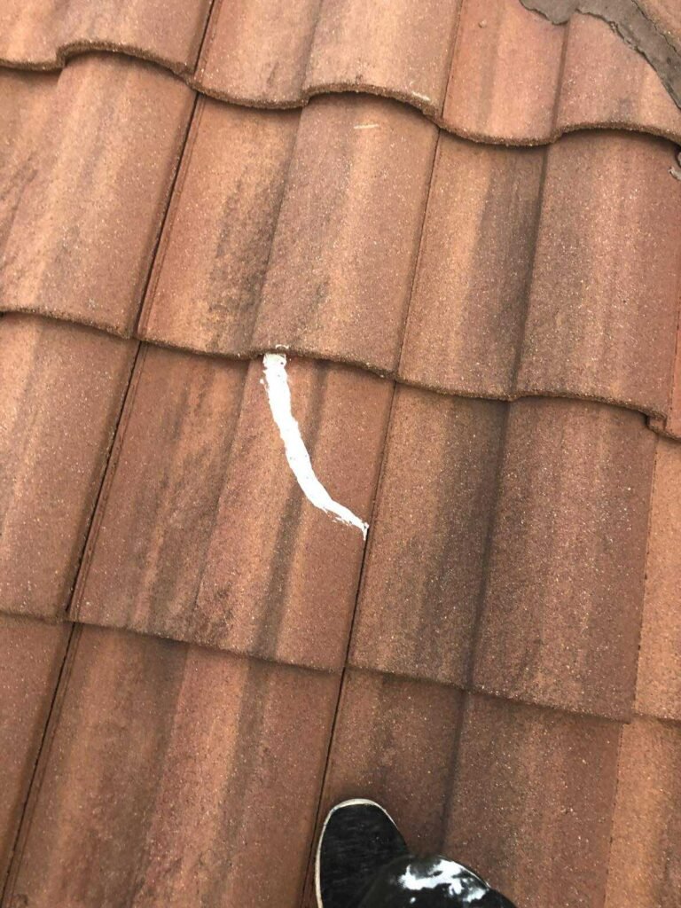 564903337_1323051212561315_2842233772921655221_n